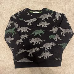 boys sweatshirt 5-6