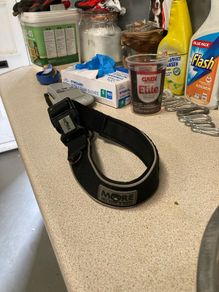 More dog collar