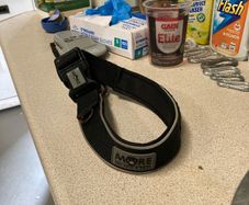 More dog collar