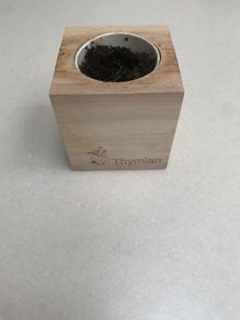 herb wooden thyme pot