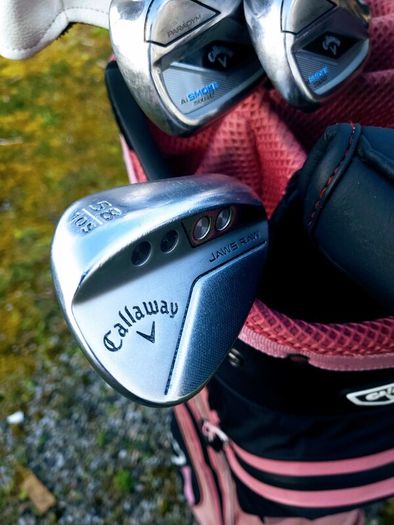 Set of Ladies Golf Clubs