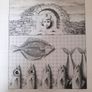 Joe Boske Signed Limited Edition Prints Image 8