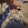 floral boho girls top from next Image 4