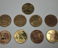 Collection of irish 1980s 20p coins