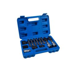 13Pc Alternator Freewheel Pulley Removal Kit