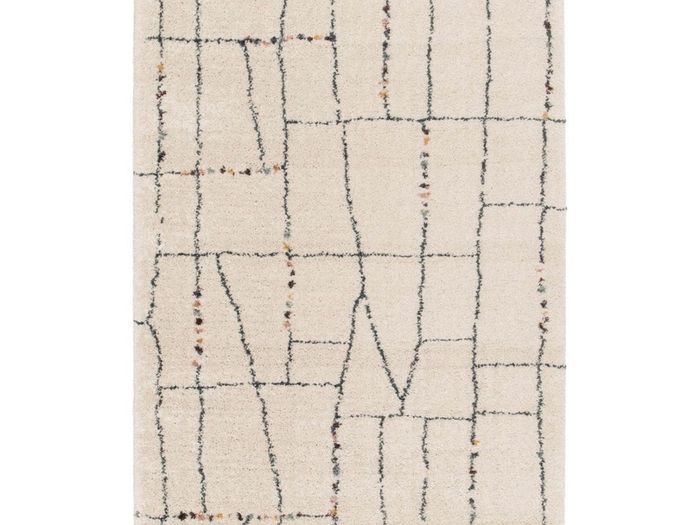 Moroccan Berber Style Rug from Wayfair Brand new