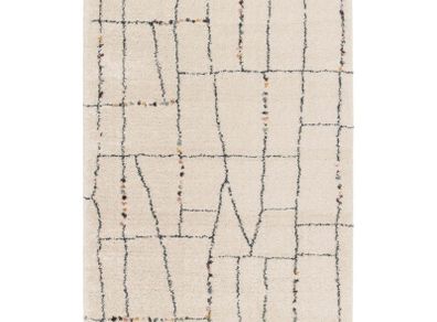 Moroccan Berber Style Rug from Wayfair Brand new