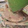 fertiliser spreader Image 4