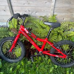 kids ridgeback bike mx16