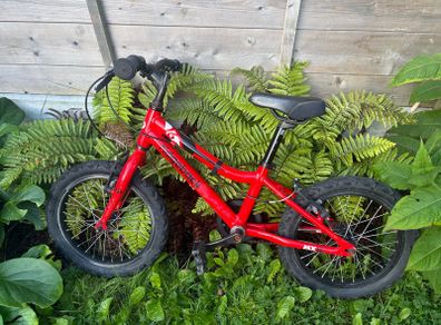 kids ridgeback bike mx16