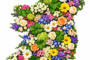 Floral Ireland Art Print. High Quality Glossy Finish