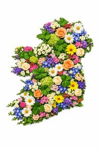 Floral Ireland Art Print. High Quality Glossy Finish