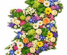 Floral Ireland Art Print. High Quality Glossy Finish