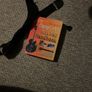 Burswood acoustic guitar Image 7