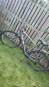Giant Escape hybrid bicycle Large