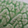 DISH - Vintage - Cabbage Leaf Image 10