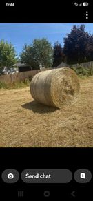 Organic Hay