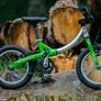 Little Big Kids Bikes Ideal for Twins Image 2