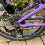 Ridgeback Dimension 20 Image 4