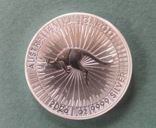 2 x 1oz .999 silver coins