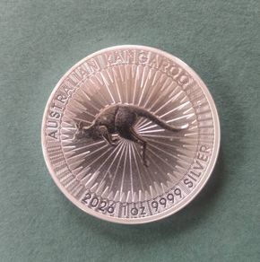 2 x 1oz .999 silver coins