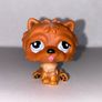littlest pet shop (LPS) Chow chow bundle! Image 6