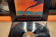 The Icicle Works - Permanent Damage