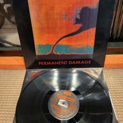 The Icicle Works - Permanent Damage