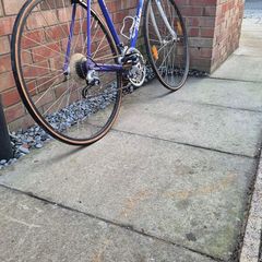 1980 classic road bike giant speeder adult bicycle