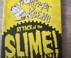 Mortimer Keene. Attack of the slime. Tim Healey. Chris Mould. Children kid's book's