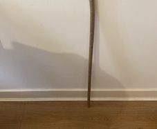 walking cane