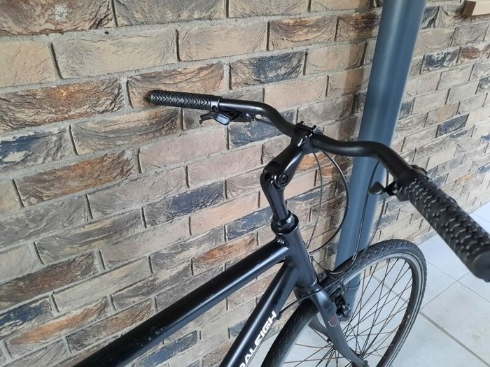 Raleigh hybrid