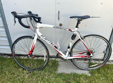 58cm Specialized Allez XL