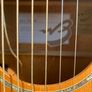 Breedlove solo semi acoustic Guitar Image 3