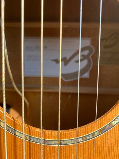 Breedlove solo semi acoustic Guitar