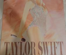 Taylor Swift Framed Pictures