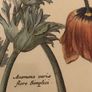 Vintage Anemone Botanical Print Framed - Nederlandsch Bloemwerk Cottagecore Art 12x15 inches Image 4