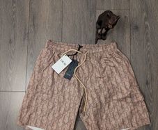 Dior luxury swim shorts