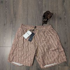 Dior luxury swim shorts