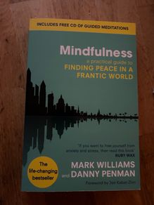Mindfullness Finding Peace in A Frantic World Book