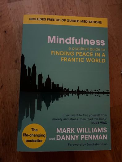 Mindfullness Finding Peace in A Frantic World Book