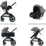 buggy Image 8