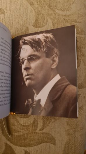 Pocket Irish With And Wisdom. Hardback In Very Good Condition.