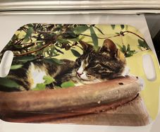 serving tray