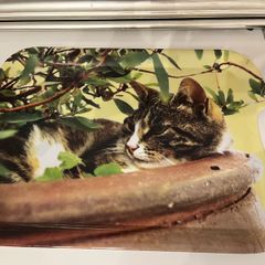 serving tray