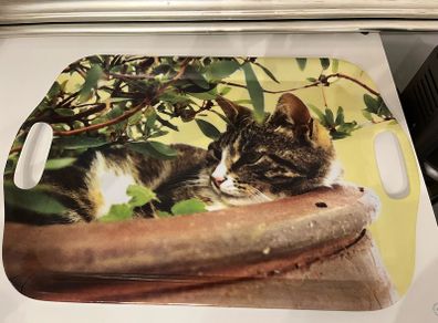 serving tray