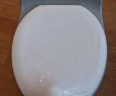 Free Potty