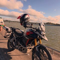 Triumph Tiger Rally Pro 2025