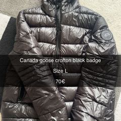 Canada goose