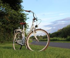Dutch Style 3 Speed City Bike Hub Gears, Lights & Rear Pedal Brake